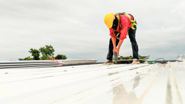 Fast & Reliable Emergency Roof Repairs in Malmstrom Af, MT